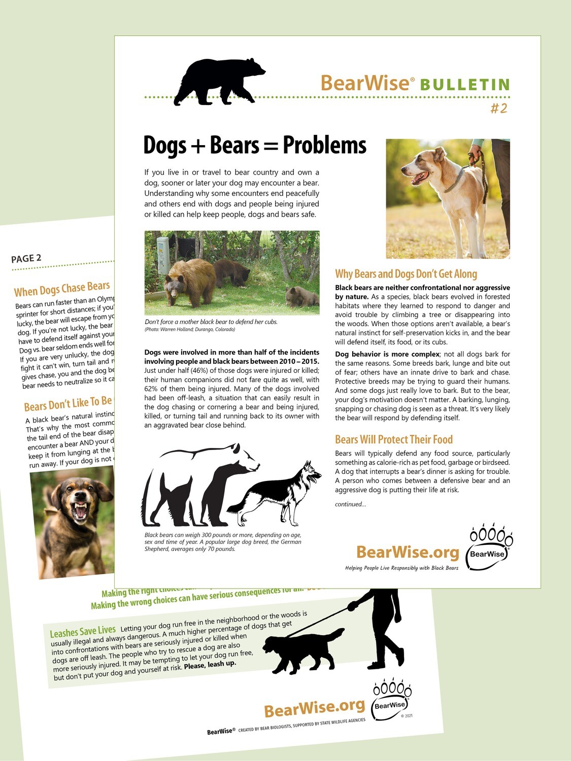 Dogs + Bears = Problems (BearWise Bulletin #2)