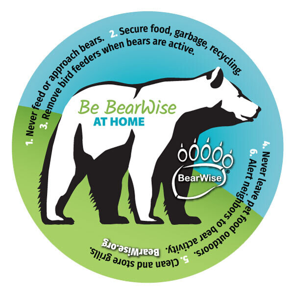 Coaster - Be BearWise At Home