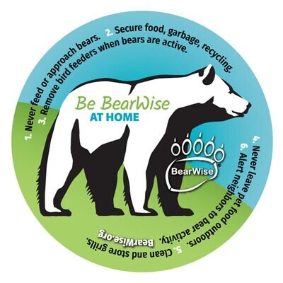 Coaster - Be BearWise At Home