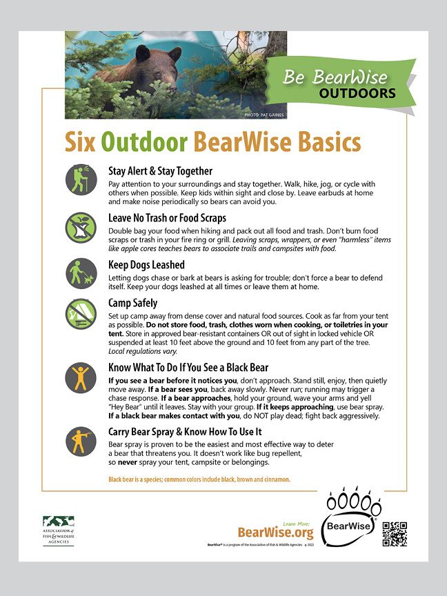 Outdoor BearWise Basics