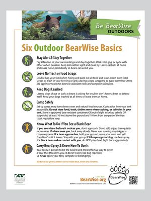 Outdoor BearWise Basics