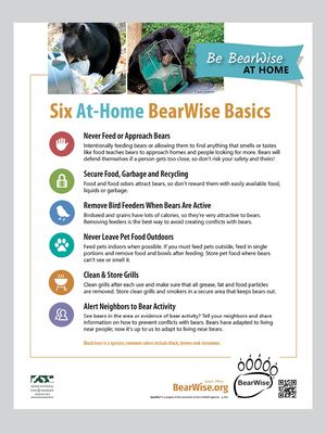 At-Home BearWise Basics