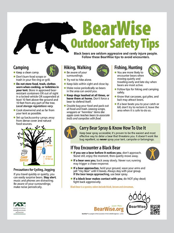 BearWise Outdoor Safety Tips