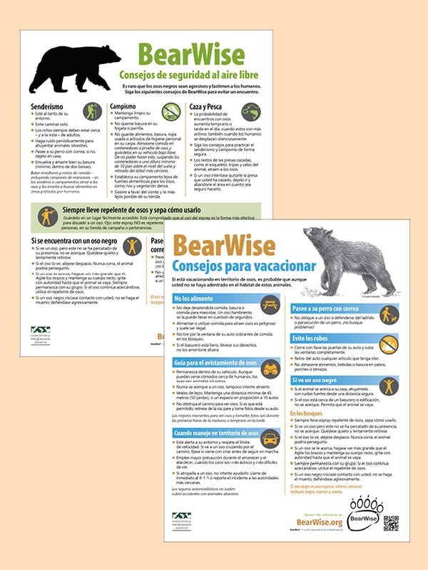BearWise Tips in Spanish