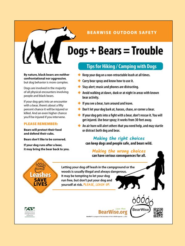 BearWise Dog Safety