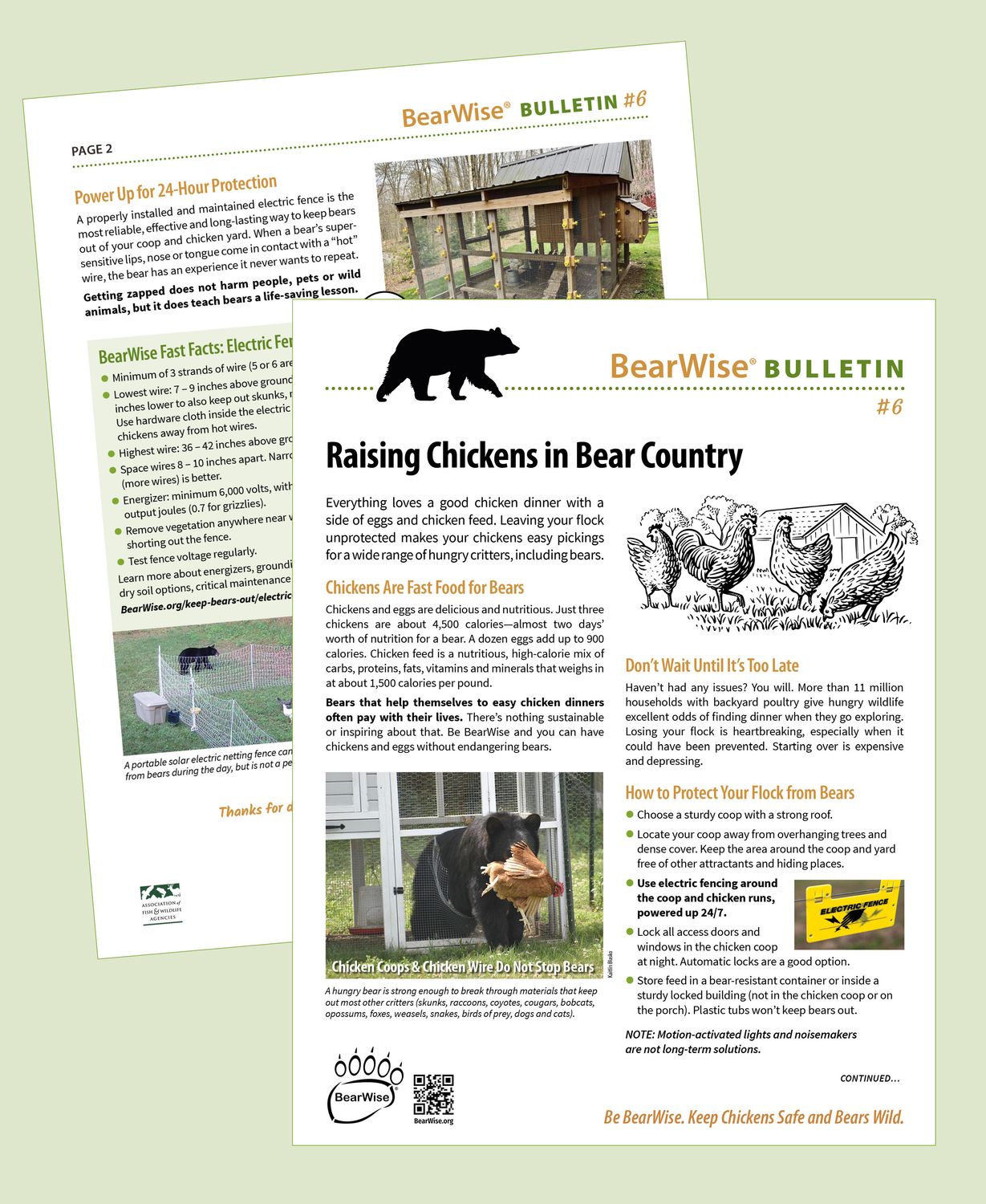 Raising Chickens in Bear Country (BearWise Bulletin #6)