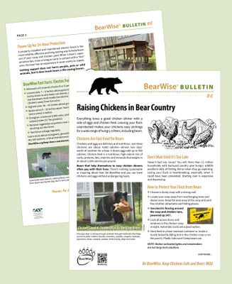 Raising Chickens in Bear Country (BearWise Bulletin #6)