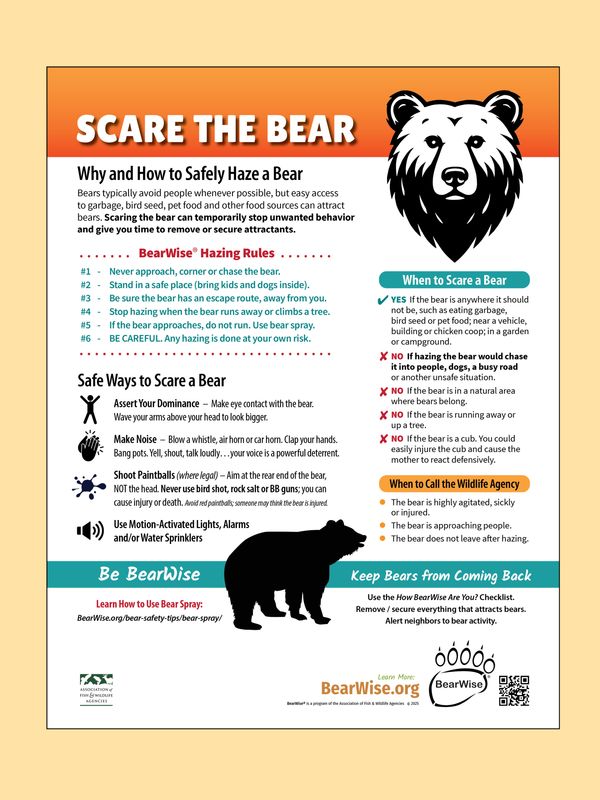 Scare the Bear