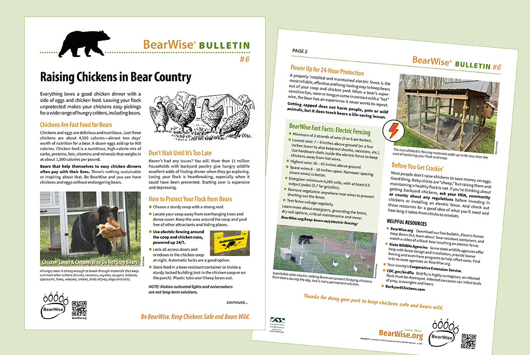 Raising Chickens in Bear Country: a BearWise Bulletin
