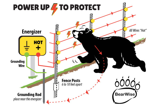 BearWise electric fence diagram