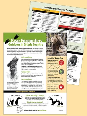 Bear Encounters - Outdoors in Grizzly Country (BearWIse fact sheet)