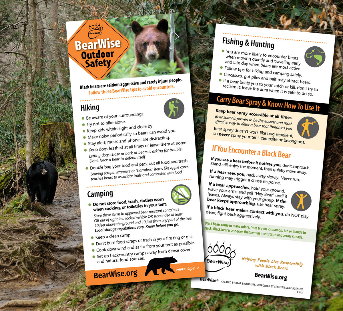 BearWise safety cards