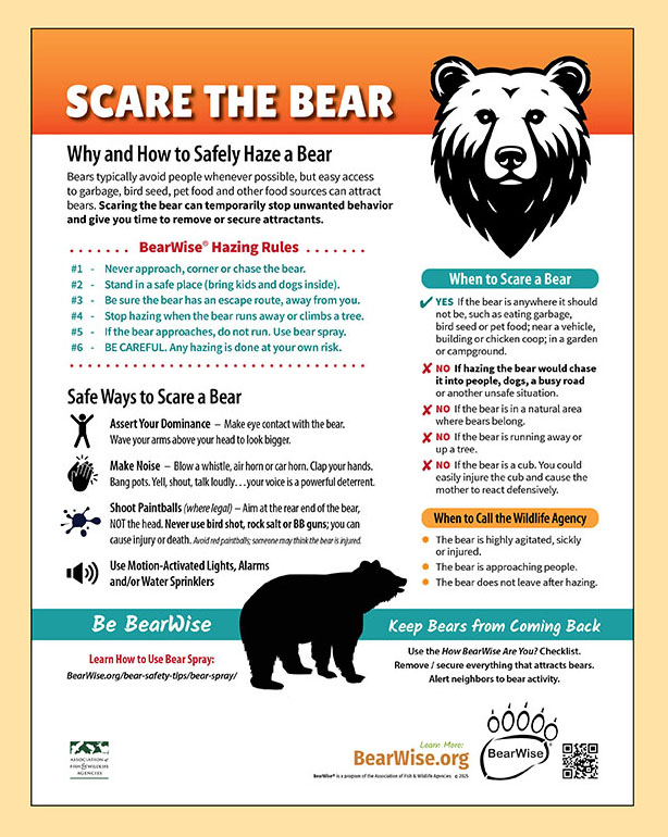 Scare the Bear poster by BearWise