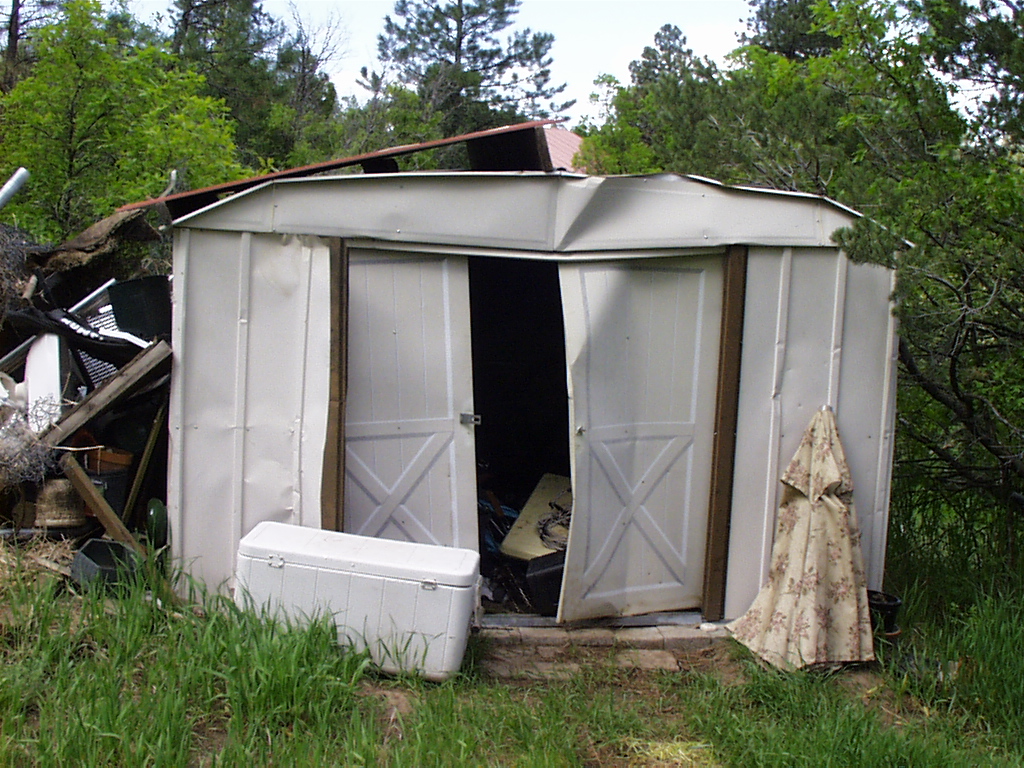 bear-damaged shed (photo: Bryan Peterson)