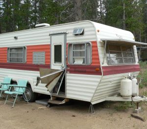 camper damage by black bear