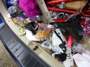 attractants left in the vehicle and found by a bear