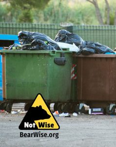 overflowing dumpster in bear country will attract bears