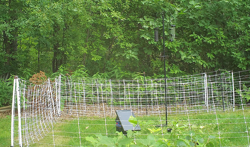 Electric net fencing is an effective temporary solution until a permanent system can be constructed. This Minnesota solar-powered energizer protects a bird feeder and compost bin. (Minnesota DNR)